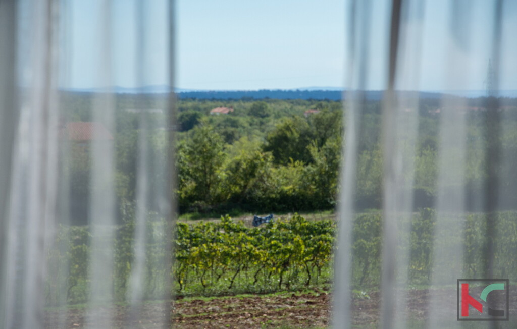 Image 29