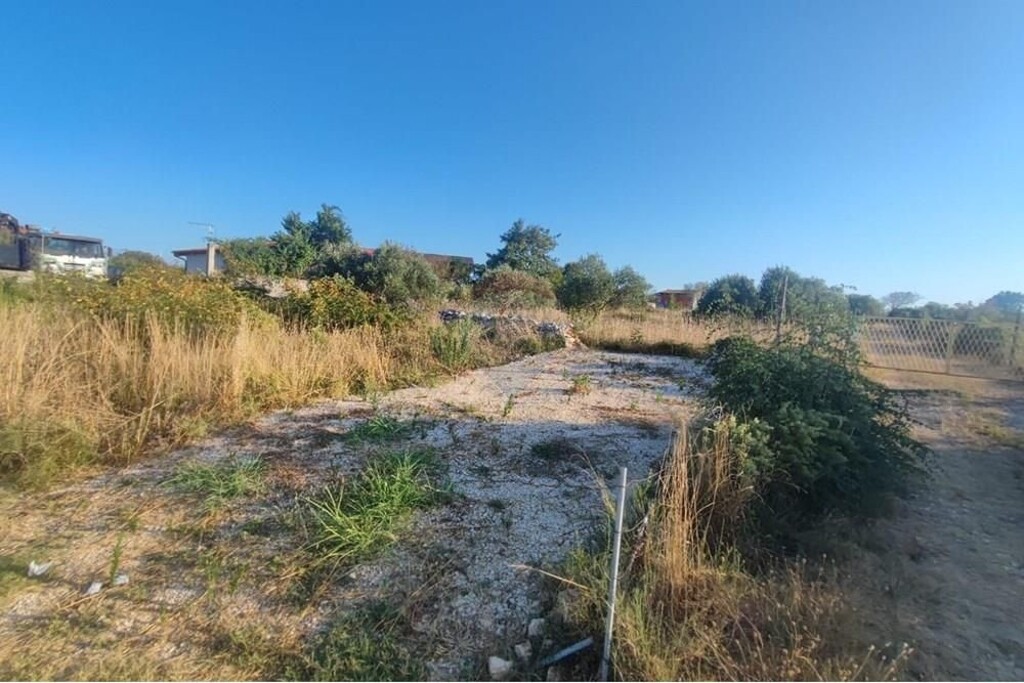 Image 15