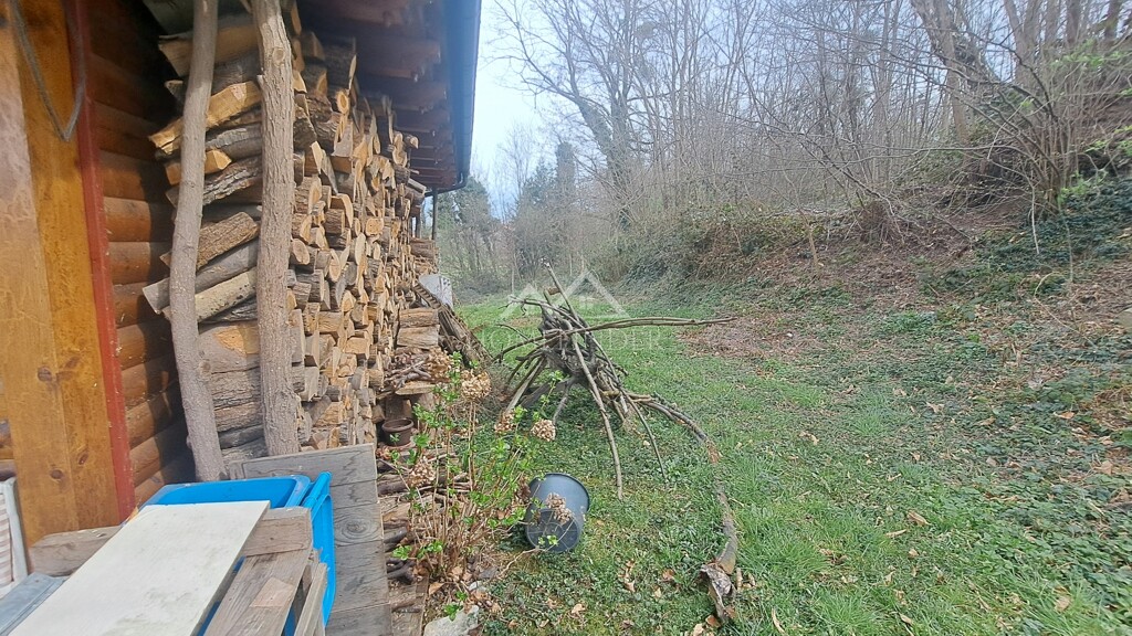Image 15