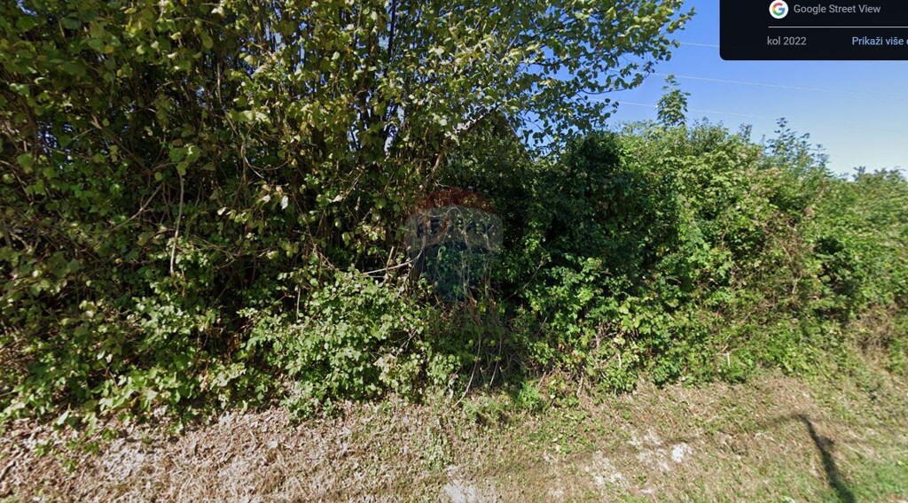 Image 5429394 - 2
