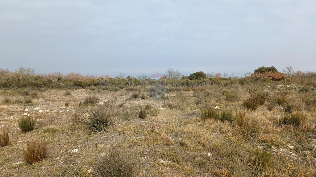 Image 5430426 - 4