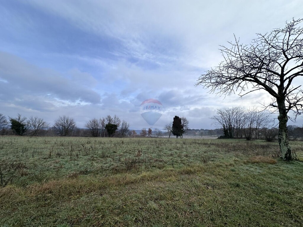 Image 5428921 - 1
