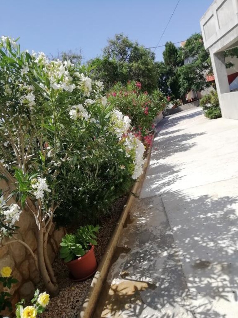 Image 3838529 - 3
