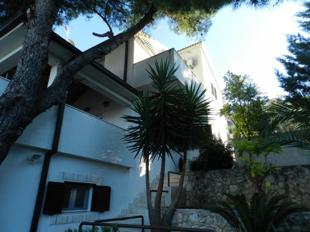 Image 3811847 - 3