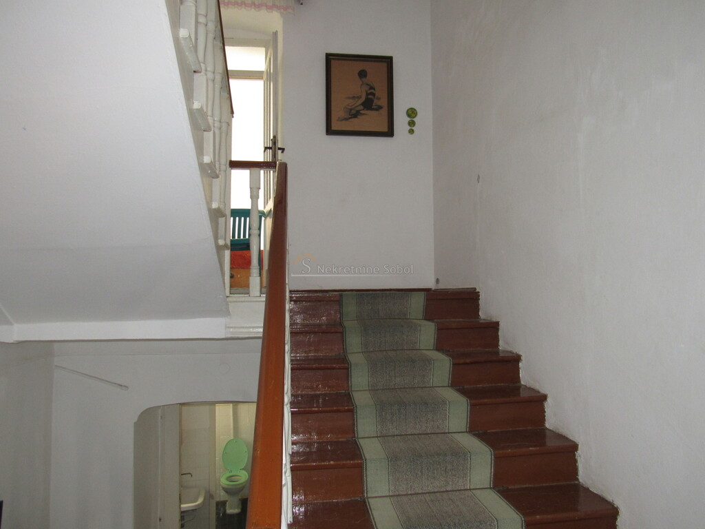 Image 13