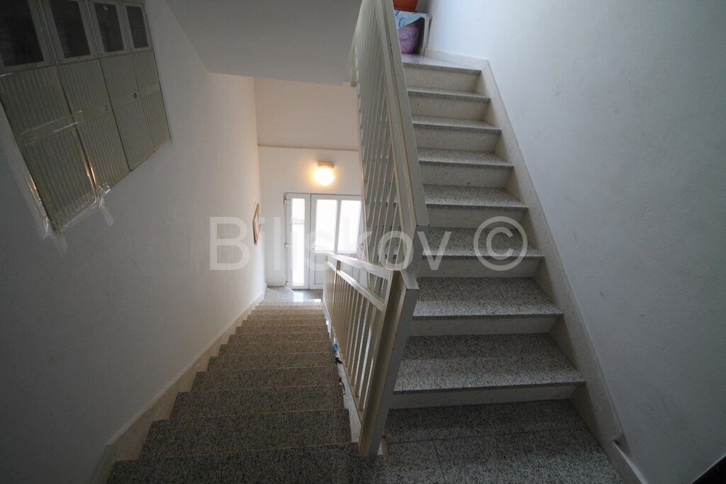 Image 19