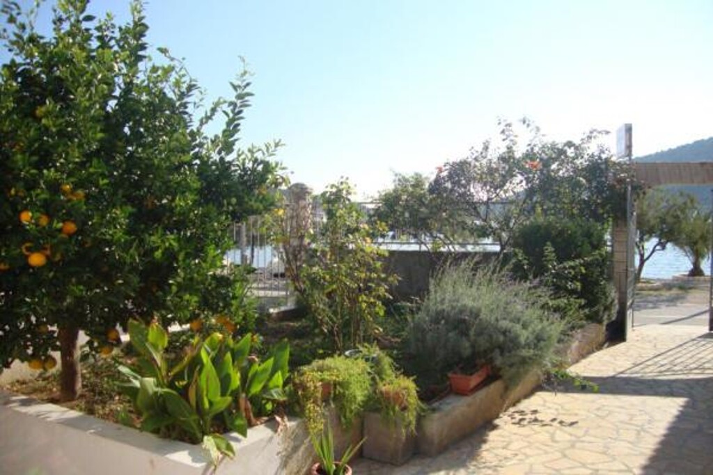 Image 3811130 - 8