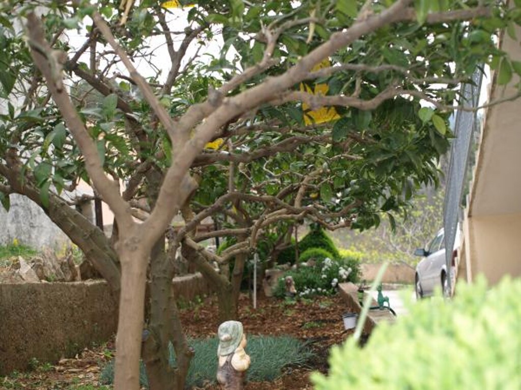 Image 3812795 - 22