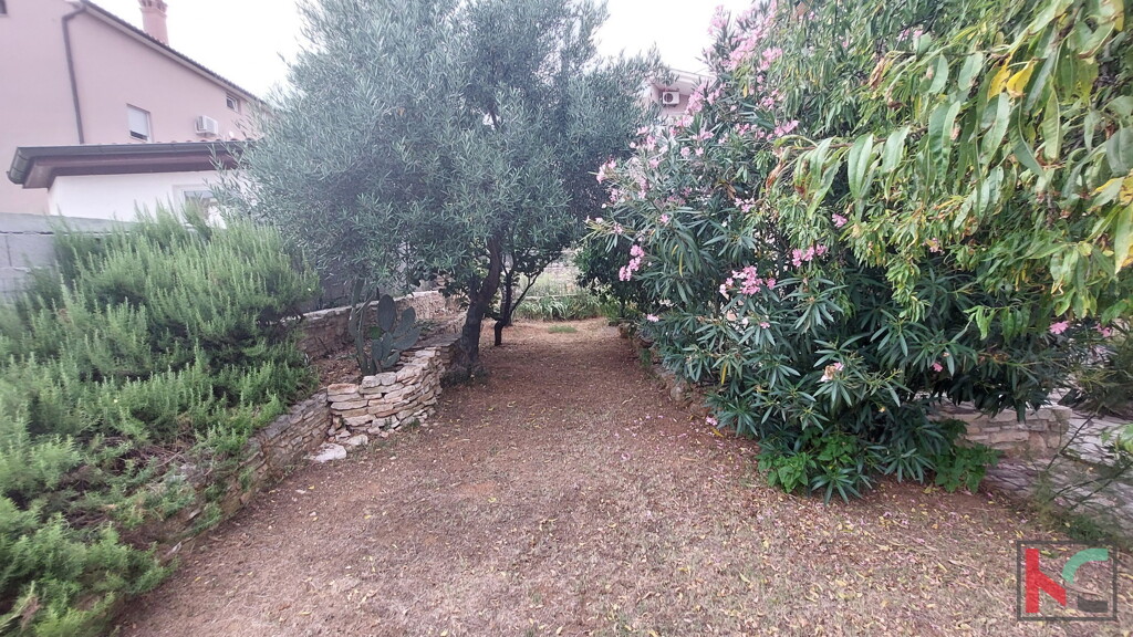 Image 29