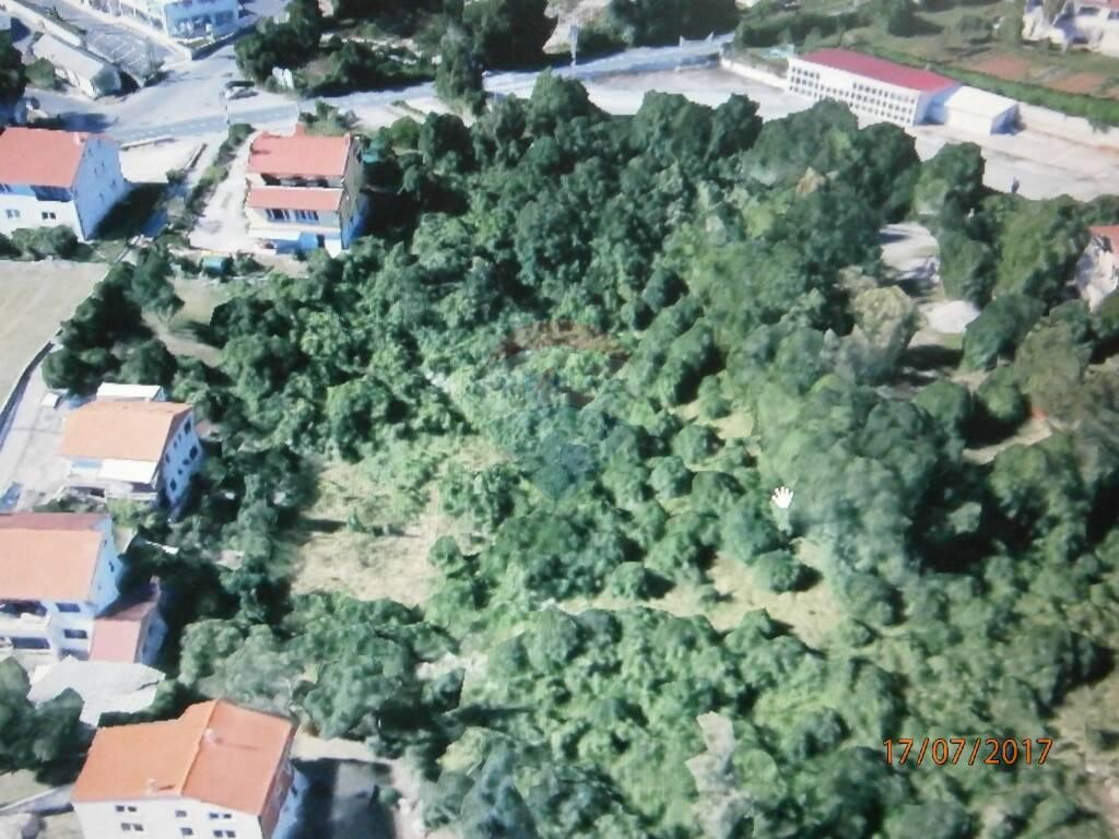 Image 5410126 - 6