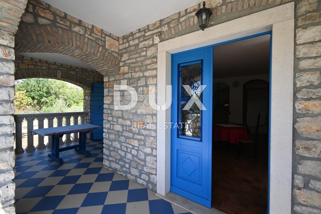 Image 19