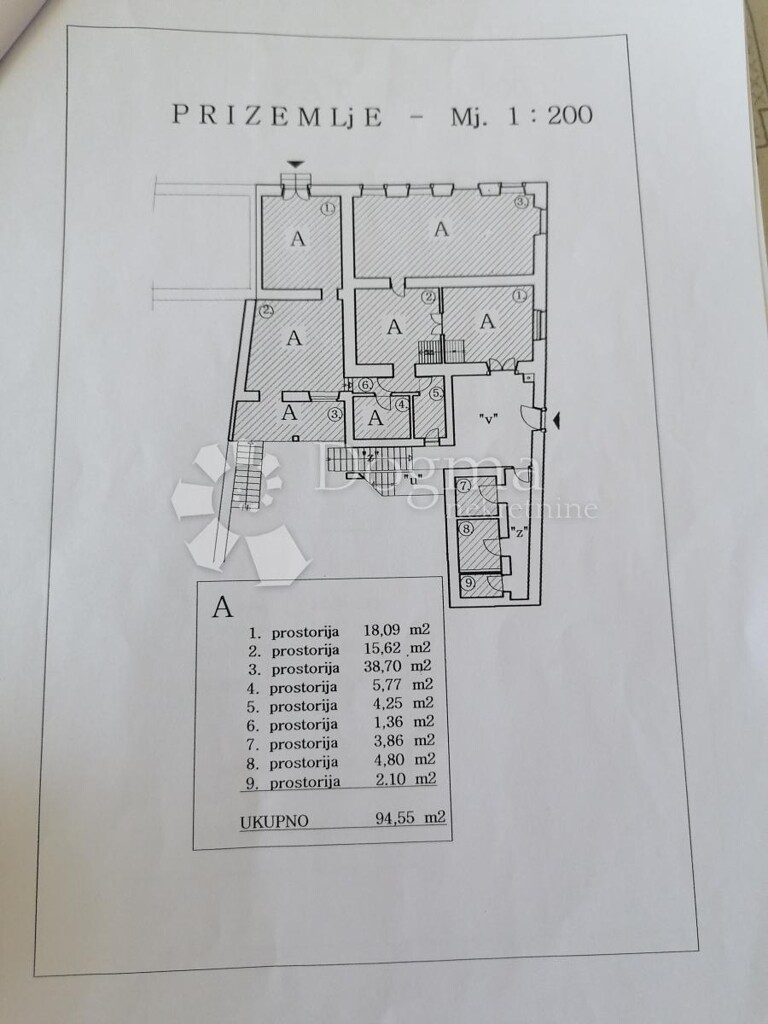 Image 19