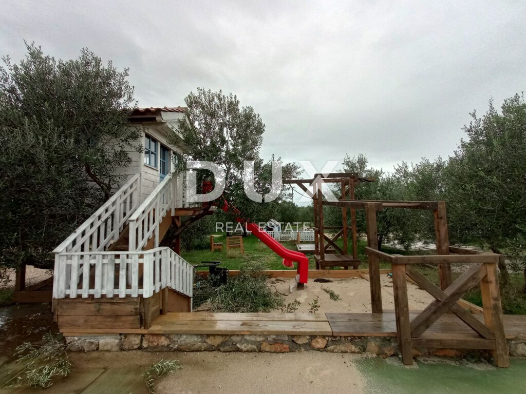 Image 13