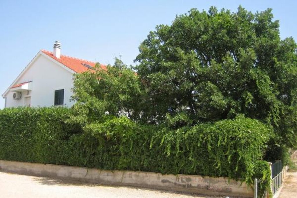 Image 3812153 - 1
