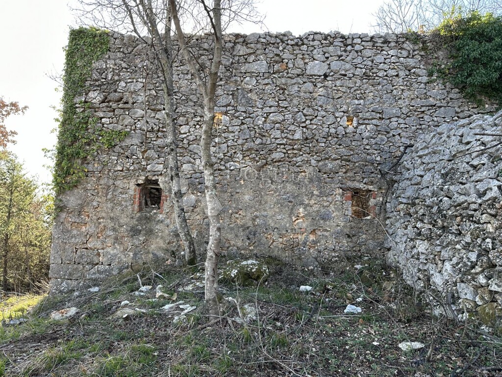Image 24