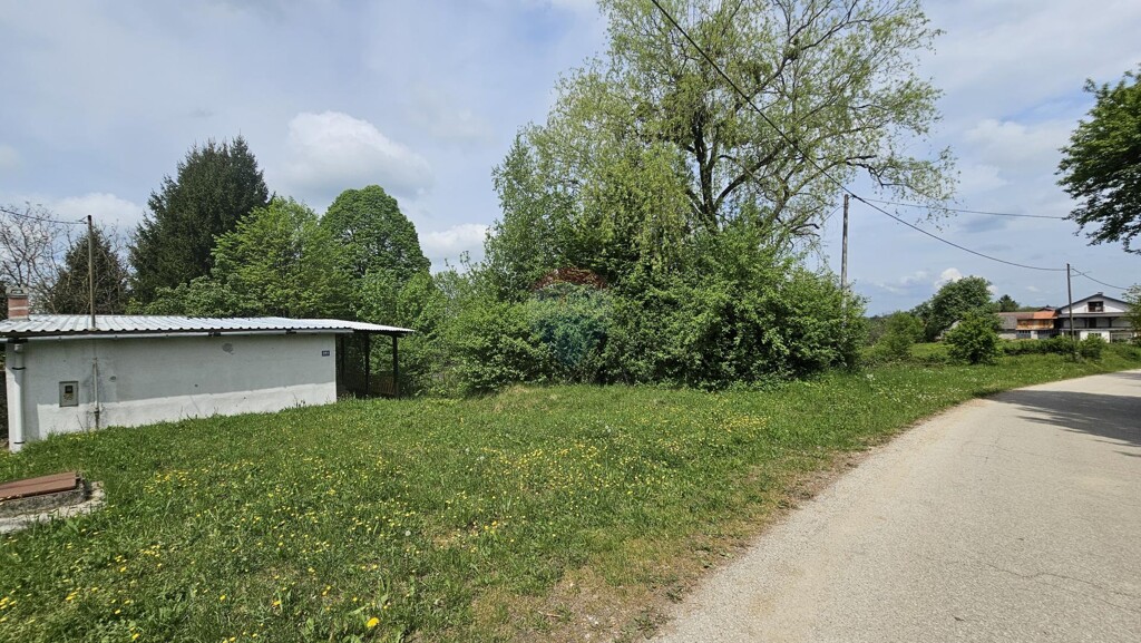 Image 13
