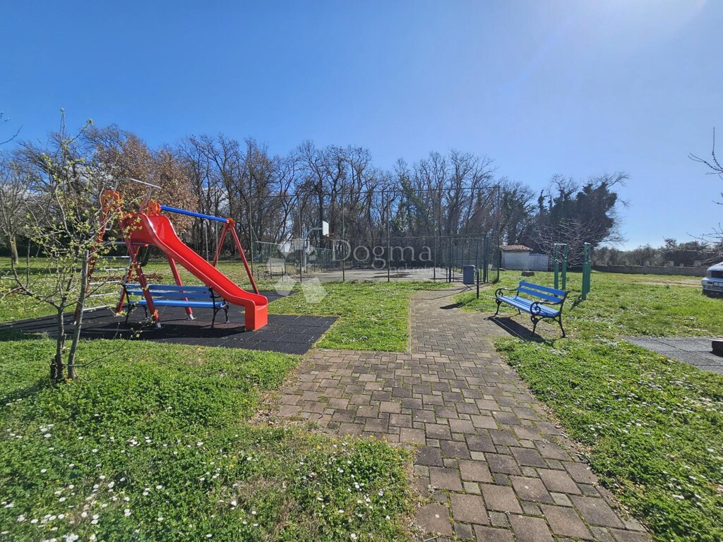 Image 21