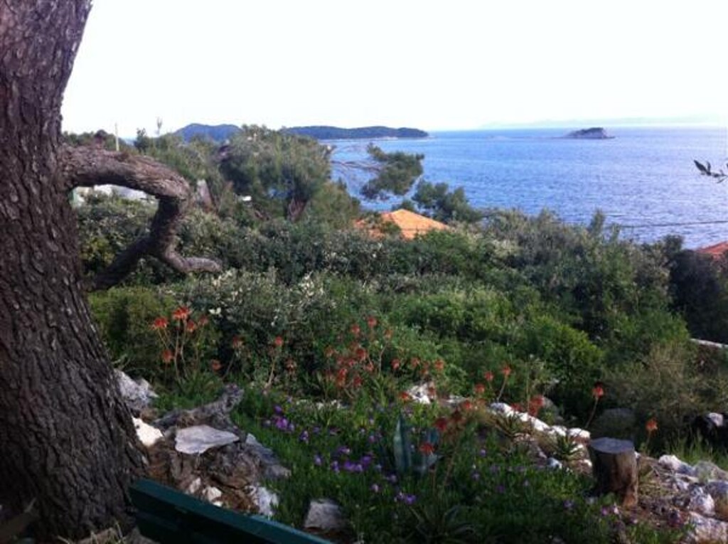 Image 3812214 - 26