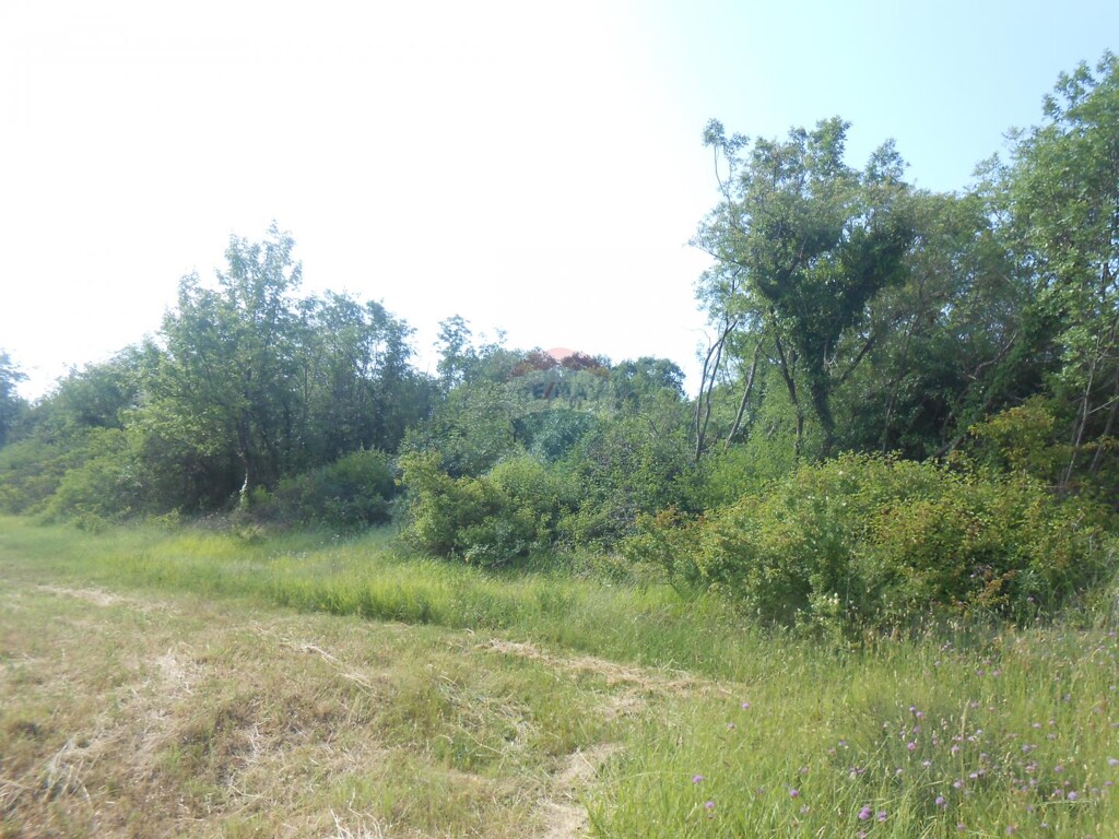 Image 5430597 - 5