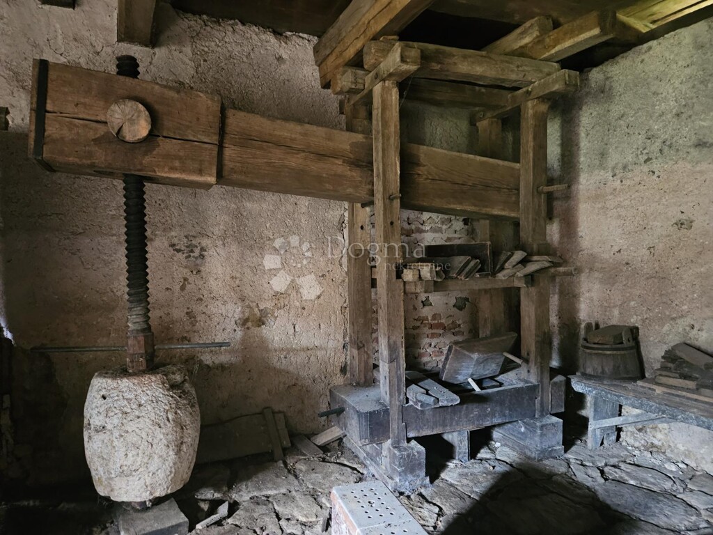 Image 22