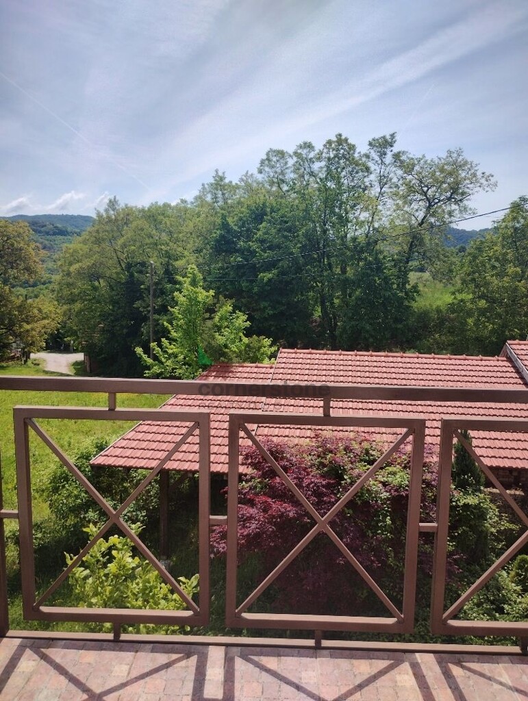 Image 14