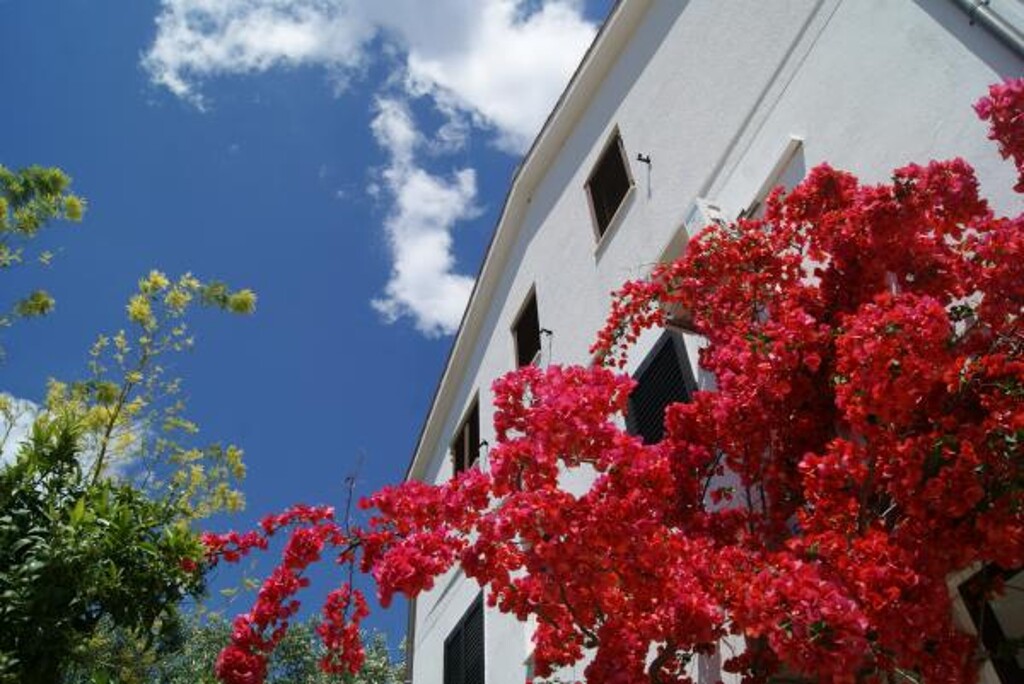 Image 3811829 - 10
