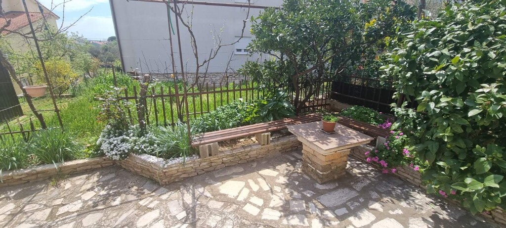 Image 25