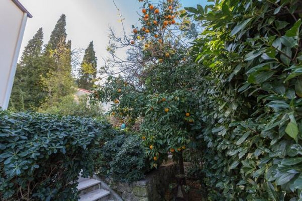 Image 3838534 - 15