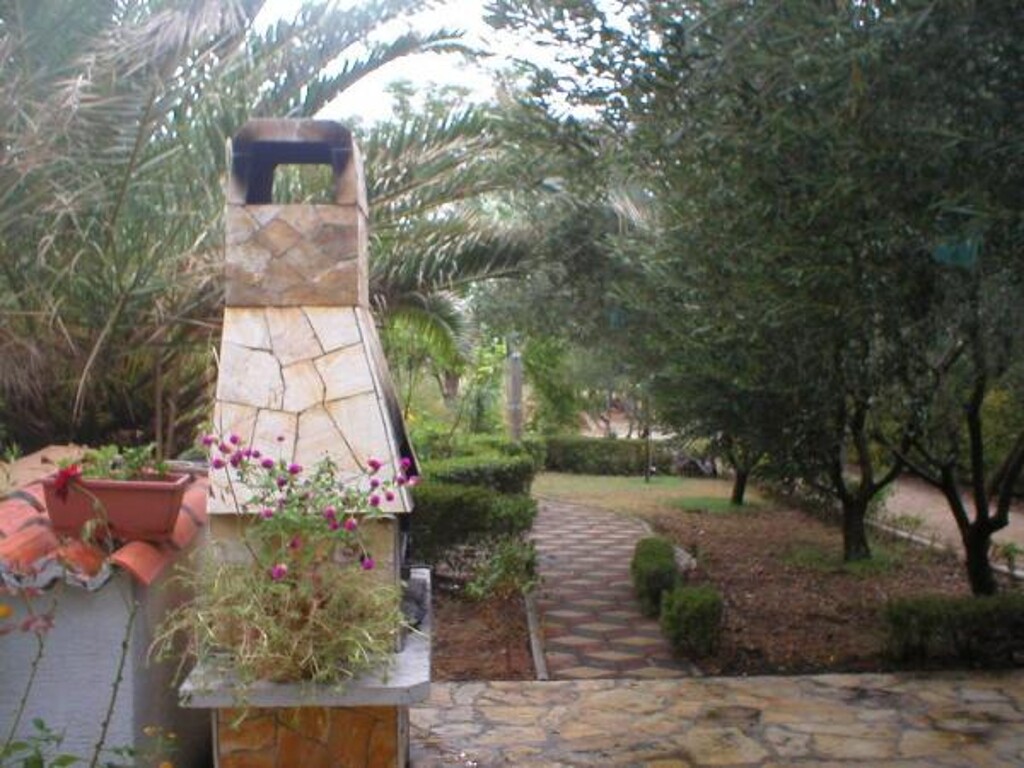 Image 8