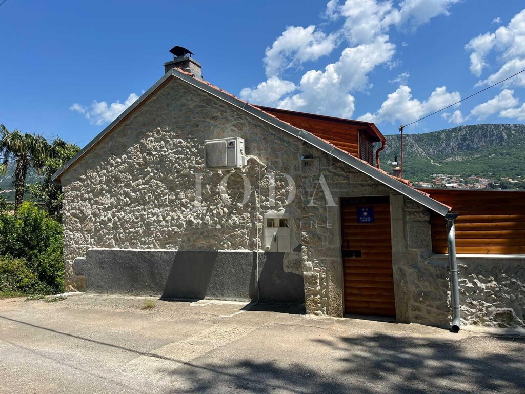 Image 19