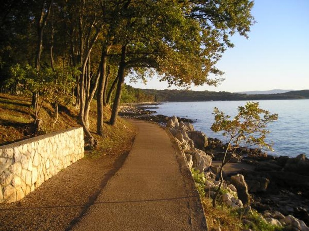 Image 3811435 - 2