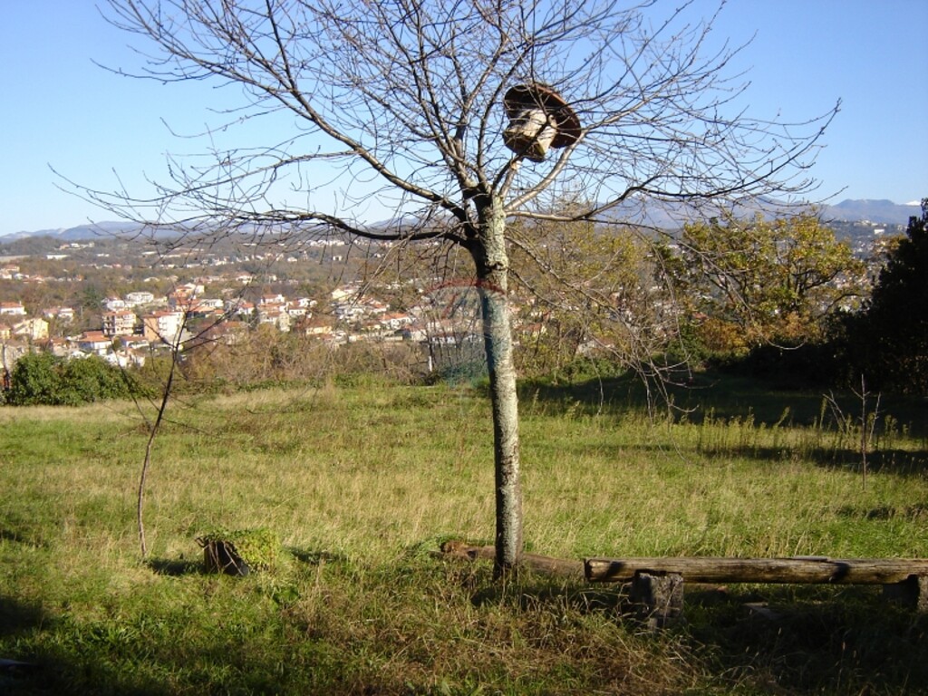 Image 5411200 - 1