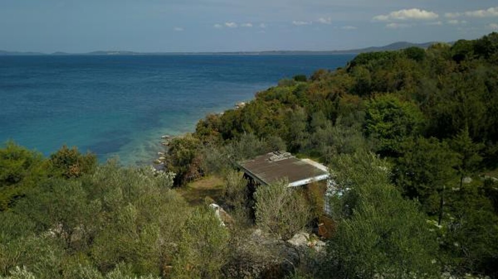 Image 3823651 - 6