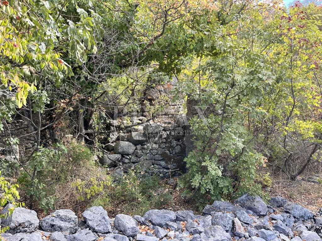 Image 15