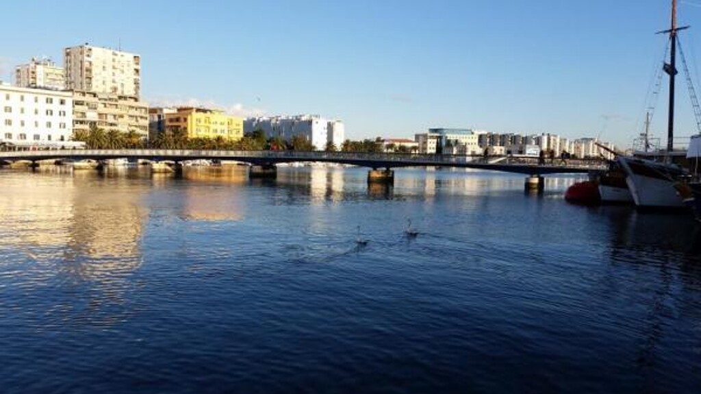 Image 3810704 - 15