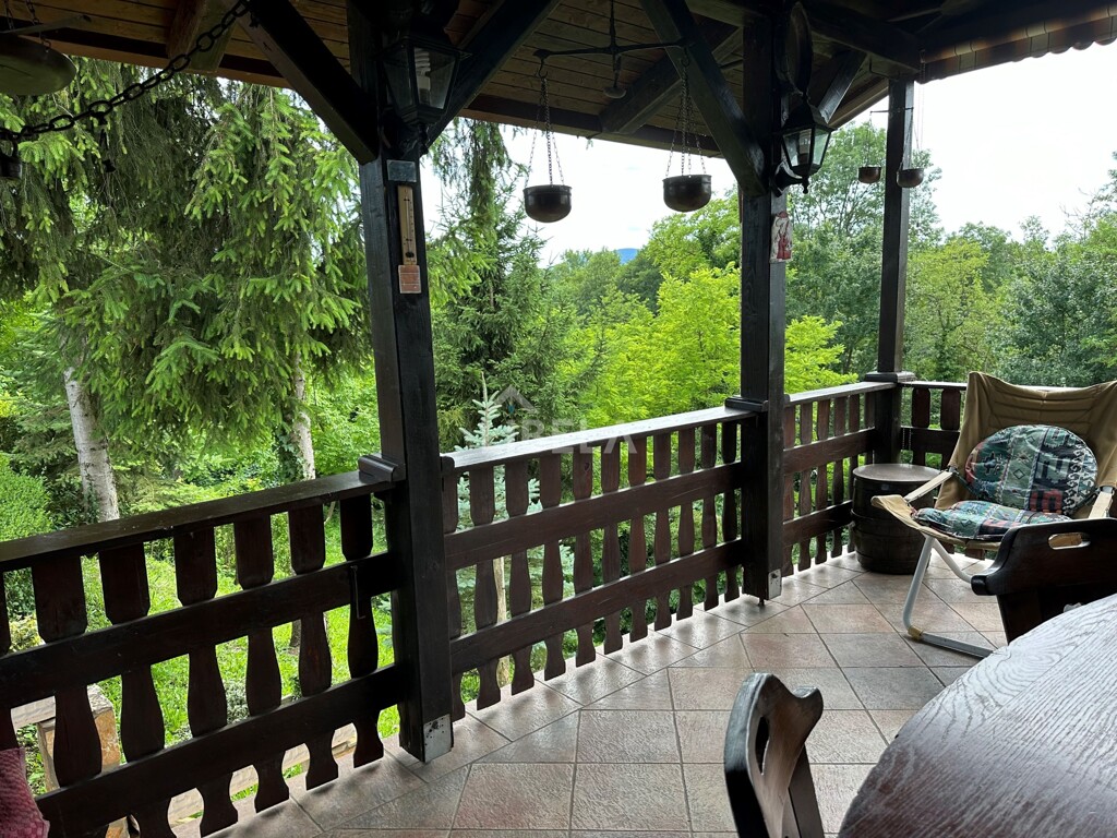 Image 15