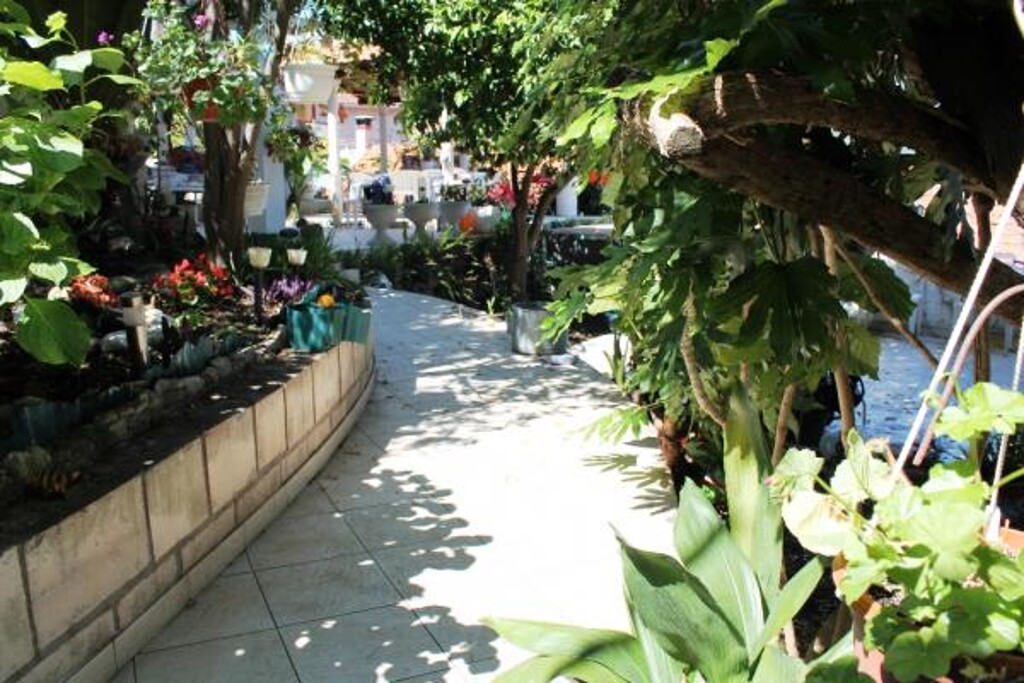 Image 3838601 - 5