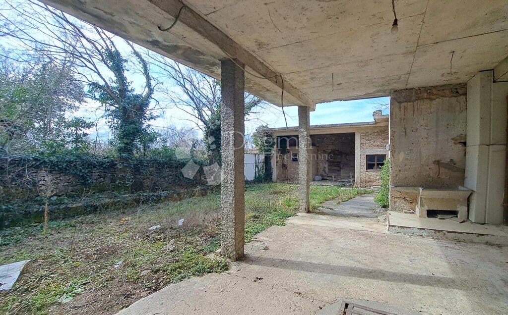 Image 8
