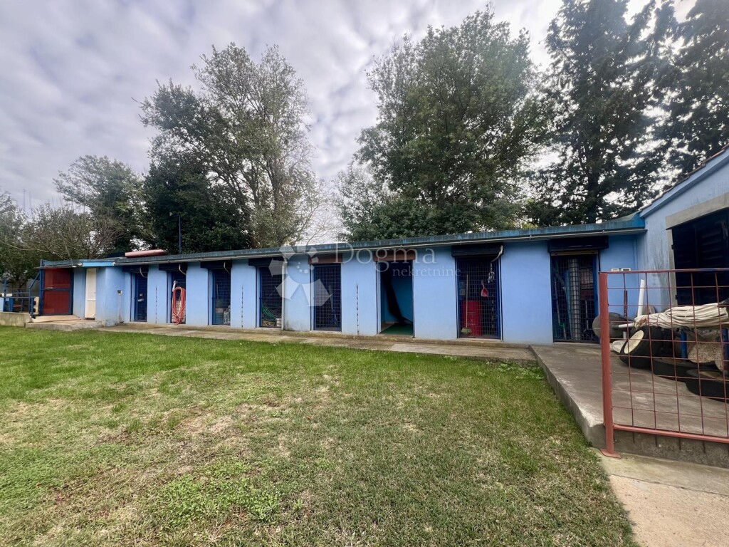 Image 12