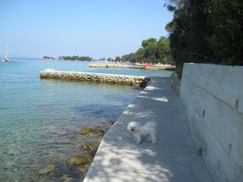 Image 3810919 - 13