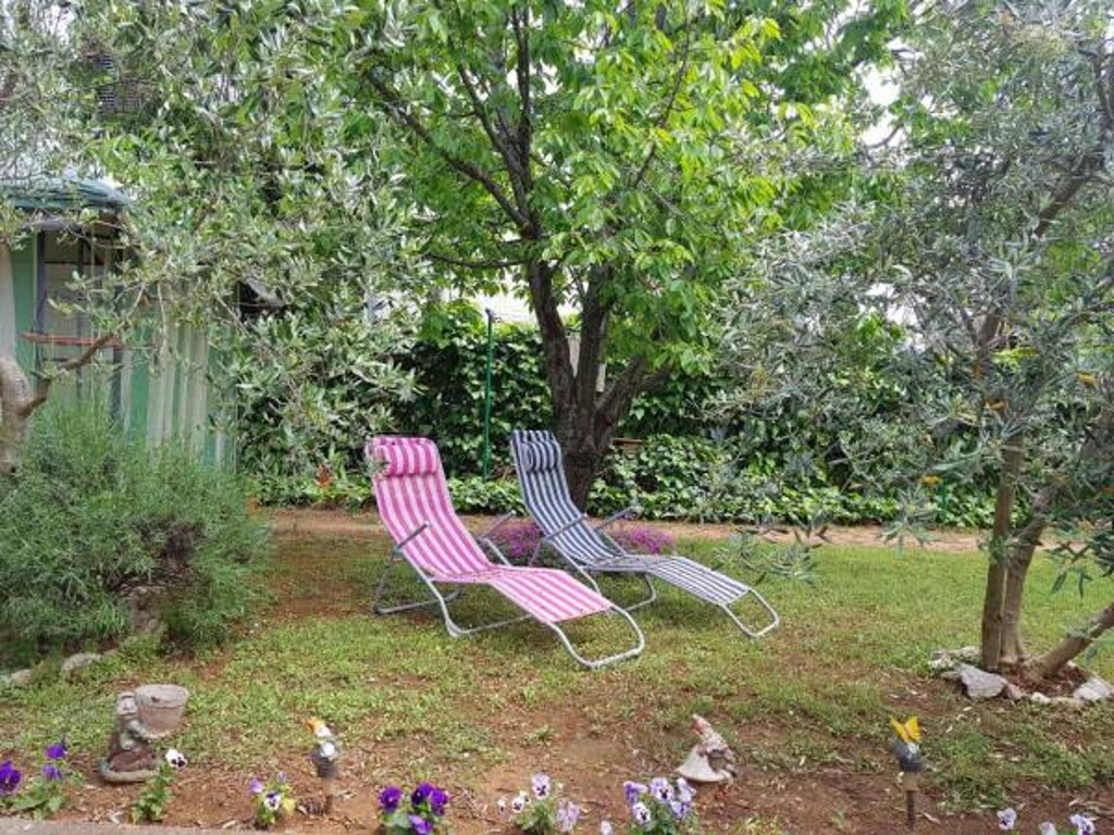 Image 3810847 - 12
