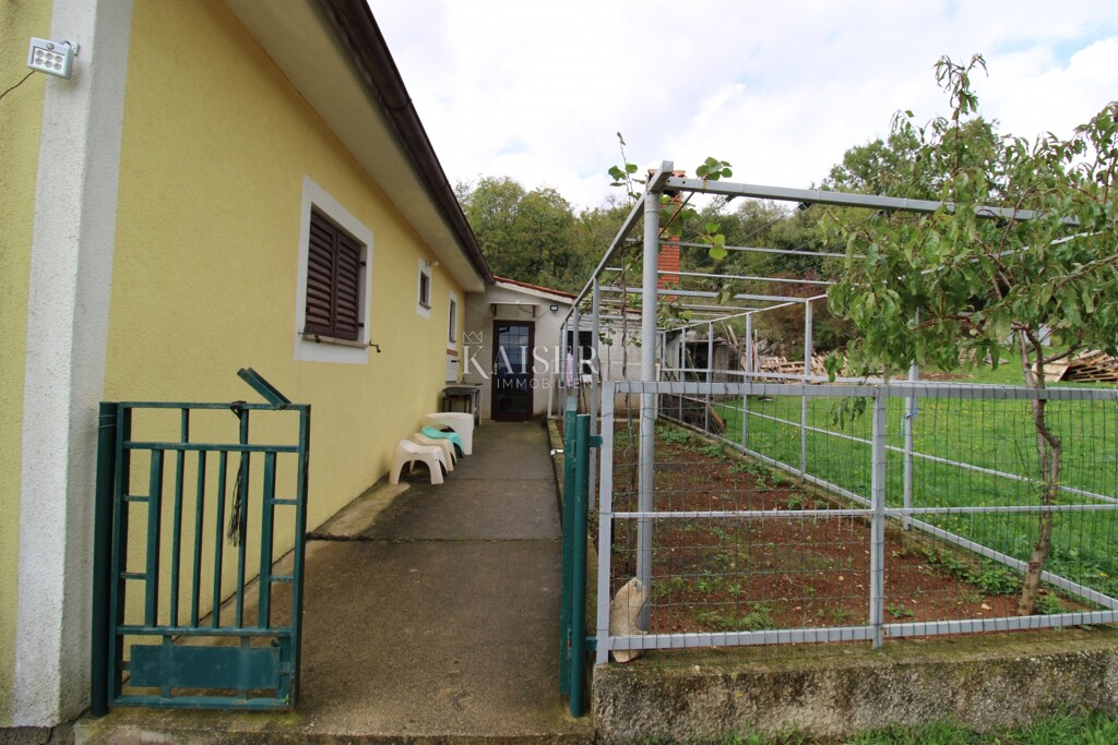 Image 21