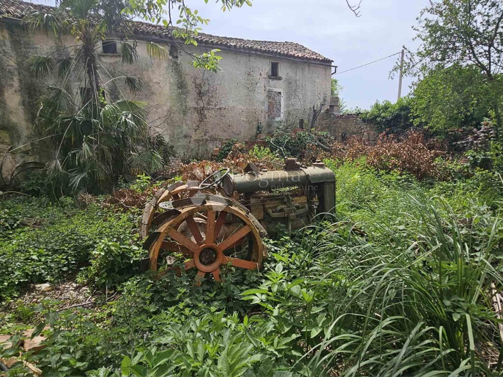 Image 19