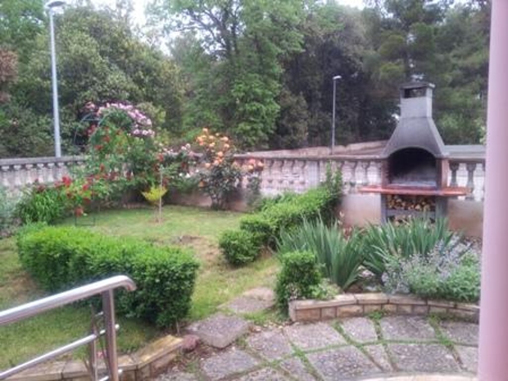 Image 3812605 - 9