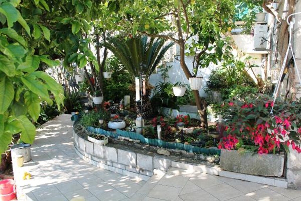 Image 3838601 - 6