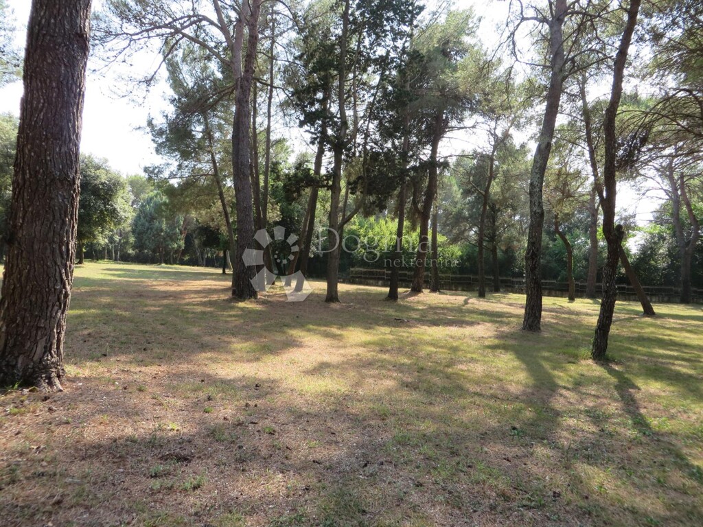Image 12