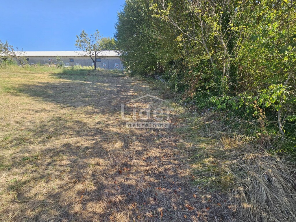 Image 10