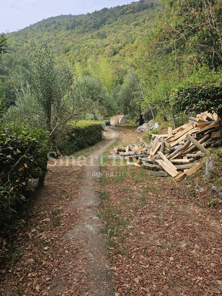 Image 25