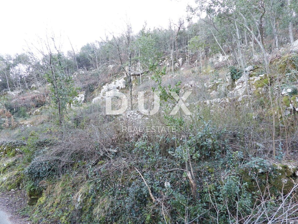 Image 18