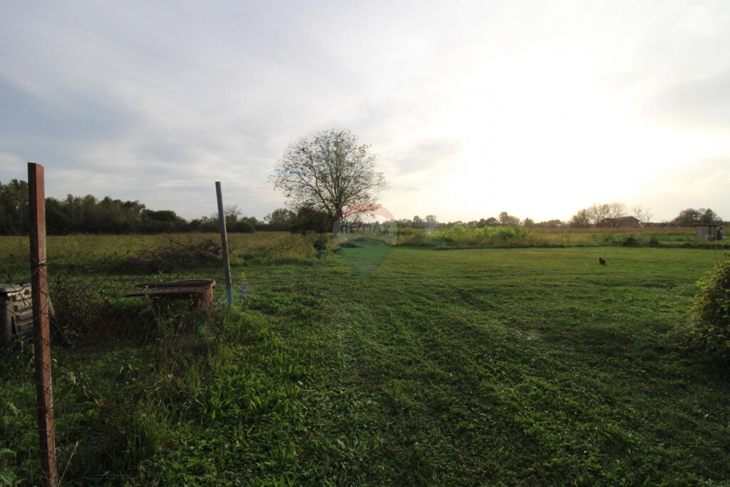 Image 5429827 - 5